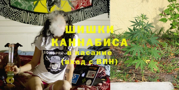прущий лед Дмитриев