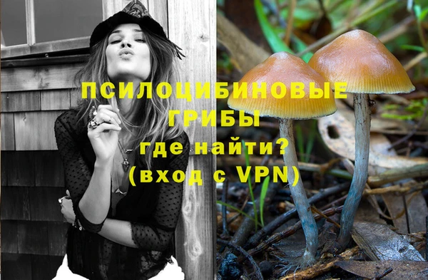 ECSTASY Абаза