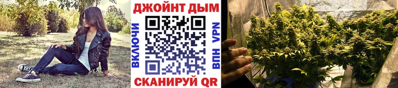 Каннабис план  blacksprut ССЫЛКА  Отрадное 